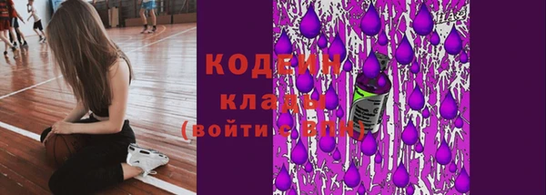 ГАЛЛЮЦИНОГЕННЫЕ ГРИБЫ Почеп